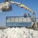В Б.Гафуровском районе планируют собрать 14 тыс. тонн хлопка
