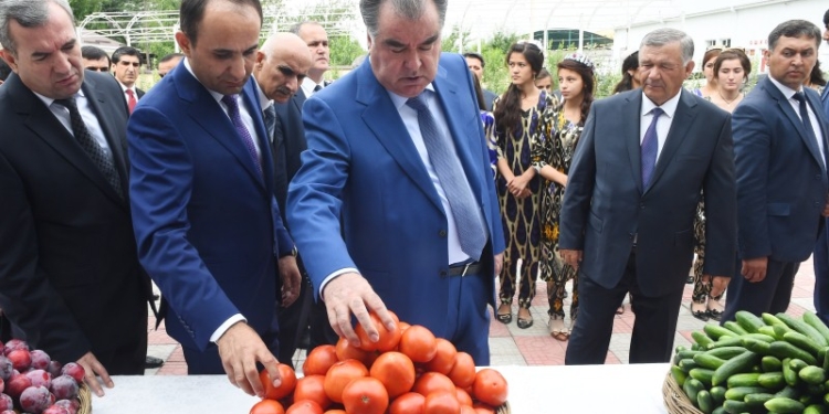 Сдача в эксплуатацию малого производственного предприятия  в Вахдате