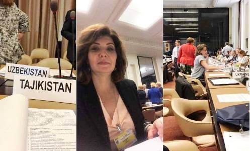Таджикистан принимает участие в конференции статистиков в Женеве