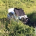 В ДТП под Тольятти погибли четверо граждан Таджикистана