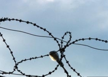 В тюрьмах Таджикистана скончались 27 заключенных