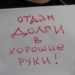 Суд отправил «на зону» должника «Агроинвестбанка»