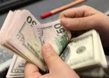Жительница Душанбе заплатила мошеннице $1,5 тыс. за устройство сына в школу при РТСУ