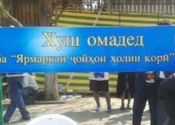В Б.Гафурове через ярмарки вакансий трудоустроены 568 человек