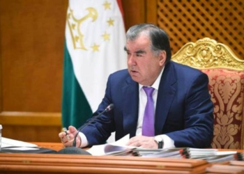 Президент провел очередное заседание правительства