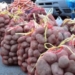 В Худжанде прошла ярмарка сельхозпродукции