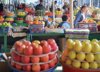 Франция изучит возможность поставок сельхозпродукции из Таджикистана