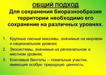 Вопросы  сохранения биоразнообразия  обсуждены в Душанбе
