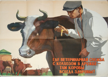 Главы ветеринарных служб Таджикистана, Афганистана, Ирана и Пакистана совещаются в Тегеране