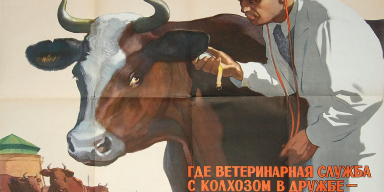 Главы ветеринарных служб Таджикистана, Афганистана, Ирана и Пакистана совещаются в Тегеране