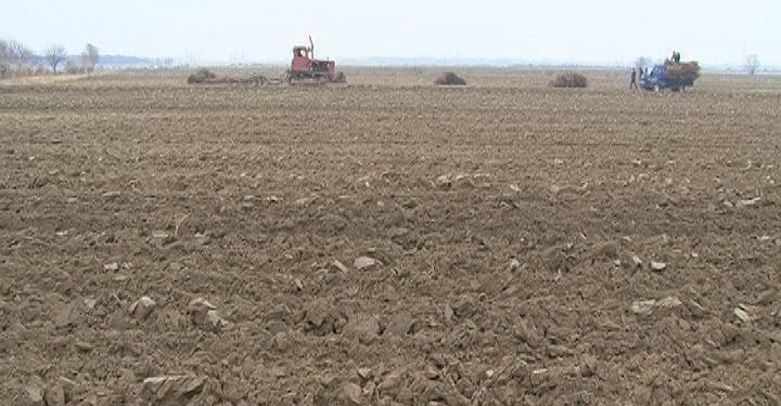 В Б.Гафурове в сельхозоборот введено 1,4 тыс. неиспользованных земель