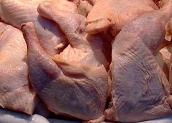 В душанбинский зоопарк передали просроченную продукцию, изъятую в столице