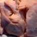В душанбинский зоопарк передали просроченную продукцию, изъятую в столице