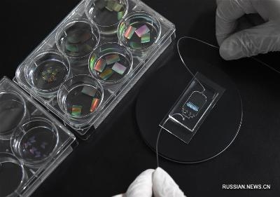Китайские ученые изобрели «сердечный чип», способный менять цвета