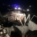 В ДТП в Ставропольском крае погибли четверо граждан Узбекистана