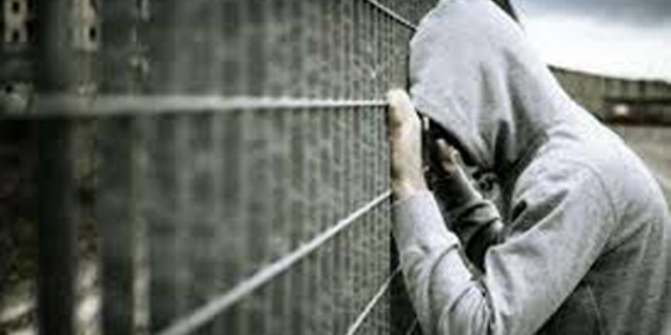 По факту погрома в районе Гипроземгородка задержаны 16 человек
