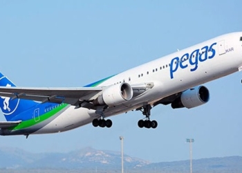 Минтранс РФ пообещал остановить полеты Pegas Fly в Таджикистан