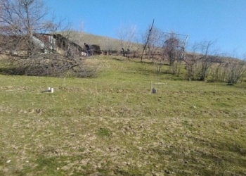 В Душанбе задержаны двое «земледельцов»