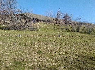 В Душанбе задержаны двое «земледельцов»