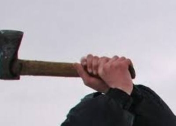 На юге Таджикистана мужчина пытался зарубить топором своего шурина