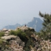 Гора Тайшань, Китай, Шаньдун