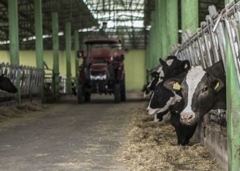Рост цен на молочную продукцию подтолкнул индекс продовольственных цен ФАО в мае