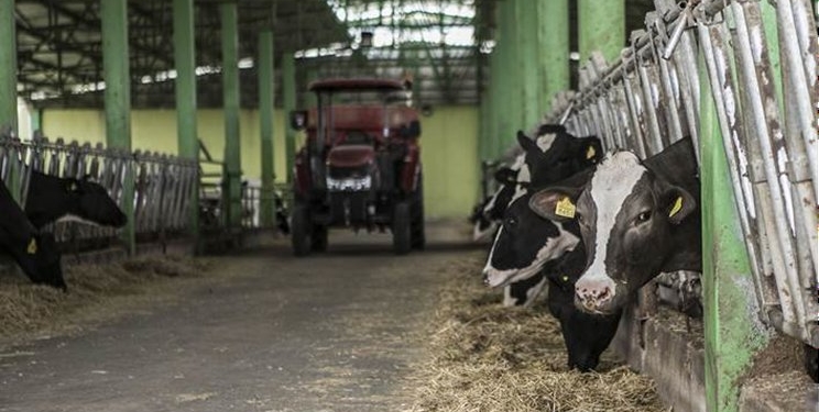 Рост цен на молочную продукцию подтолкнул индекс продовольственных цен ФАО в мае