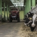Рост цен на молочную продукцию подтолкнул индекс продовольственных цен ФАО в мае