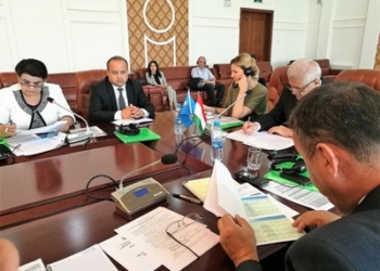 В Душанбе обсудили разработку рабочего плана в сфере образования до 2020 года