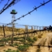 На таджикско-киргизской границе задержаны граждане России и Польши
