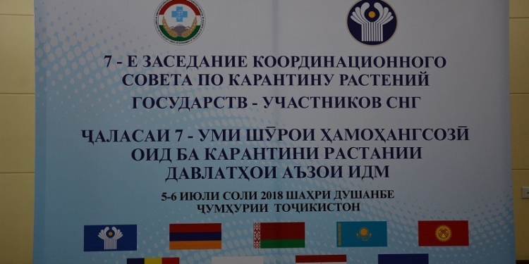 В Душанбе обсудили вопросы карантина растений в СНГ