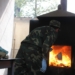 АКН сжигает очередную партию изъятых наркотиков