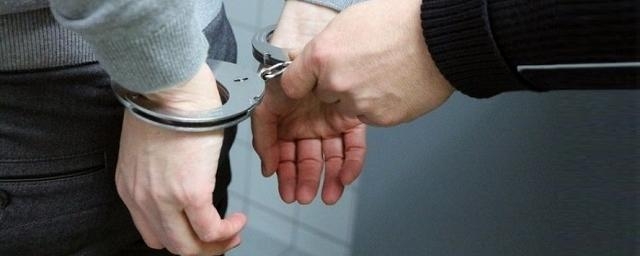 Гражданин Таджикистана осужден на 6 лет за попытку стать террористом