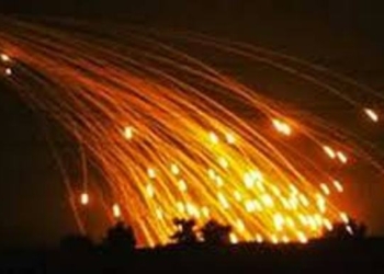 Таджикистан ответил огнем, обстрелявшим территорию РТ талибам