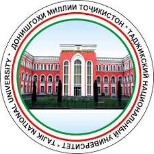 Нет силы, которая могла бы разрушить мир и стабильность в Таджикистане, — заявление ТНУ