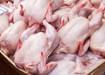 В Таджикистане растут объемы производства куриного мяса и яиц