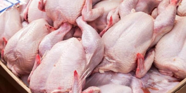В Таджикистане растут объемы производства куриного мяса и яиц