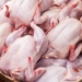 В Таджикистане растут объемы производства куриного мяса и яиц