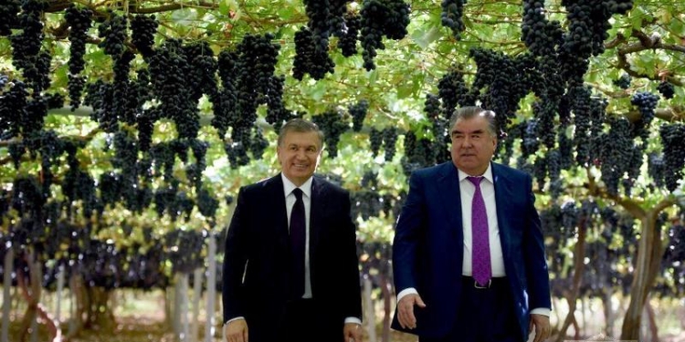 Президенты Таджикистана и Узбекистана посетили виноградники в Турсунзаде