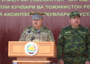 Узбекистан и Таджикистан готовы совместно дать отпор противнику
