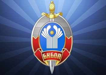 Представители СНГ обсудят совместные меры по противодействию киберпреступности