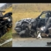 Двое граждан Таджикистана погибли в ДТП в Чехове
