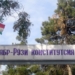 С Днем Конституции!