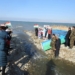 В Кайраккумское море выпустили 1 млн. мальков