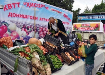 В Душанбе будут организованы предновогодние ярмарки сельхозпродукции