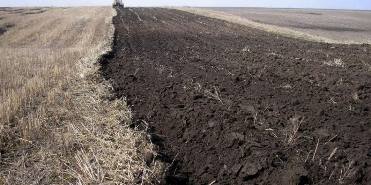 За последние 30 лет в Таджикистане из сельхозоборота выпало порядка 190 тыс. га