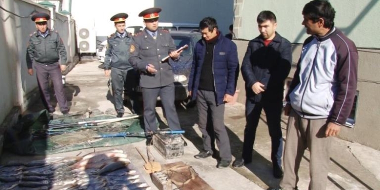 В Кубодиене задержаны трое браконьеров, глушивших рыбу с помощью электротока