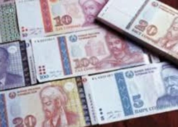 600 млн. сомони ущерба выявлено в ходе финансовых проверок госструктур в Таджикистане