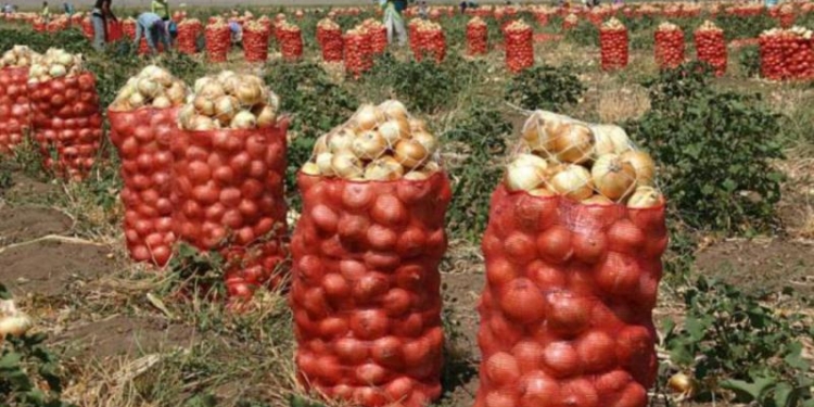 На развитие сельского хозяйства, рыболовства и охоты в Таджикистане планируют выделить около $100 млн.