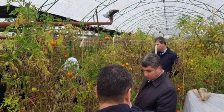 Таджикским фермерам рассказали о новых технологиях в сельском хозяйстве Японии